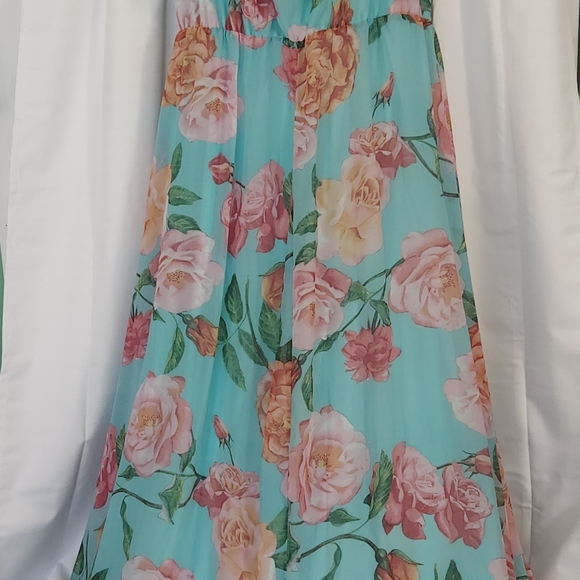 Chiffon Floral Mint Green Maxi Dress Plus 3X - Picture 3 of 6